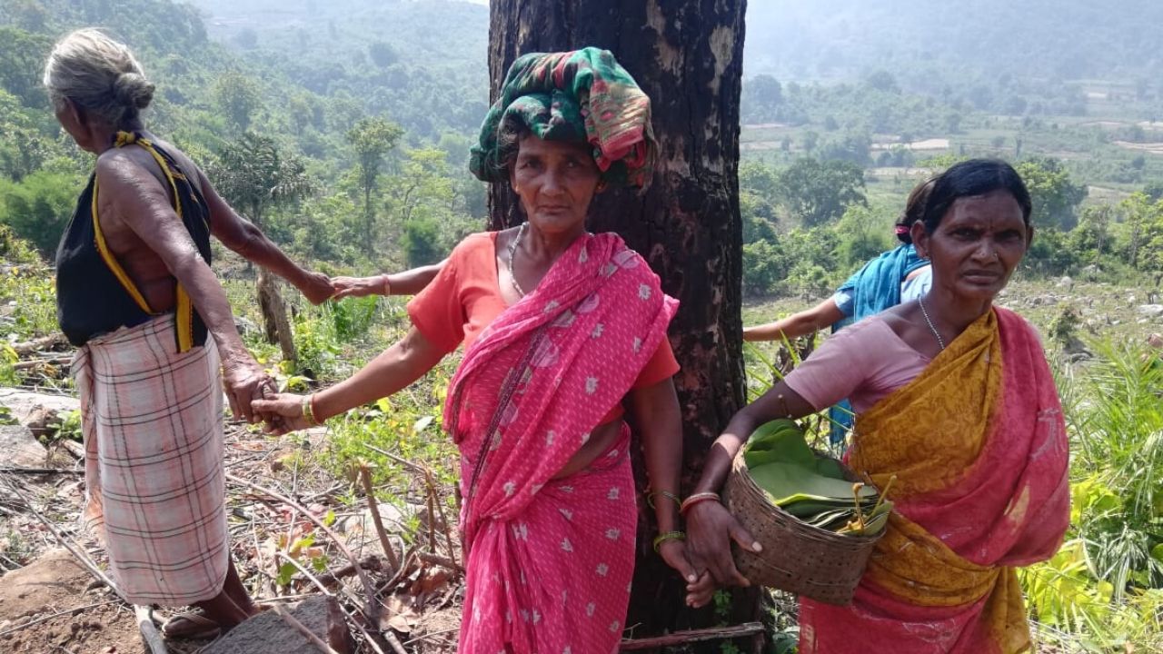 Kannada Forest Gril Sex Rep Video - COVID-19 : Adivasi and Forest Dwelling Women Face The Brunt - BehanBox
