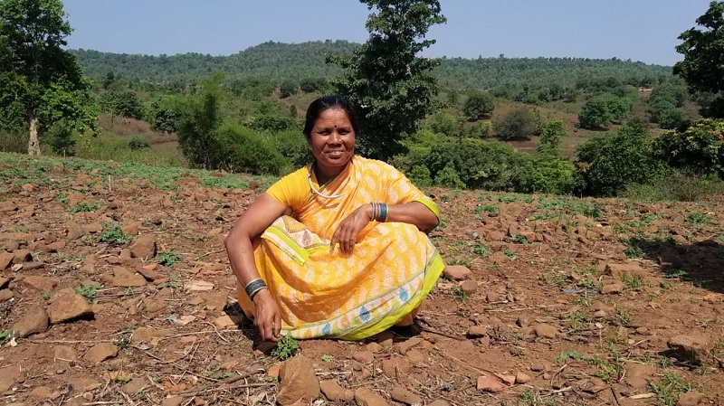 800px x 449px - COVID-19 : Adivasi and Forest Dwelling Women Face The Brunt - BehanBox