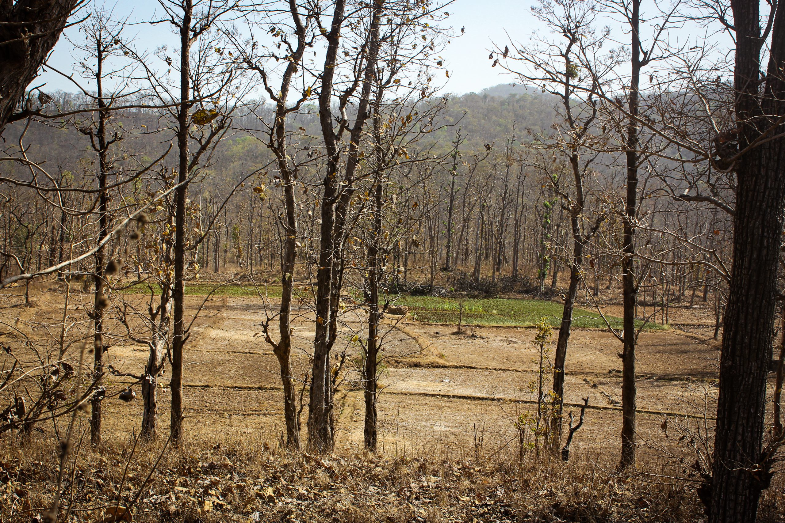 Photo 5_ private farming land surrounded by forests in Dang
