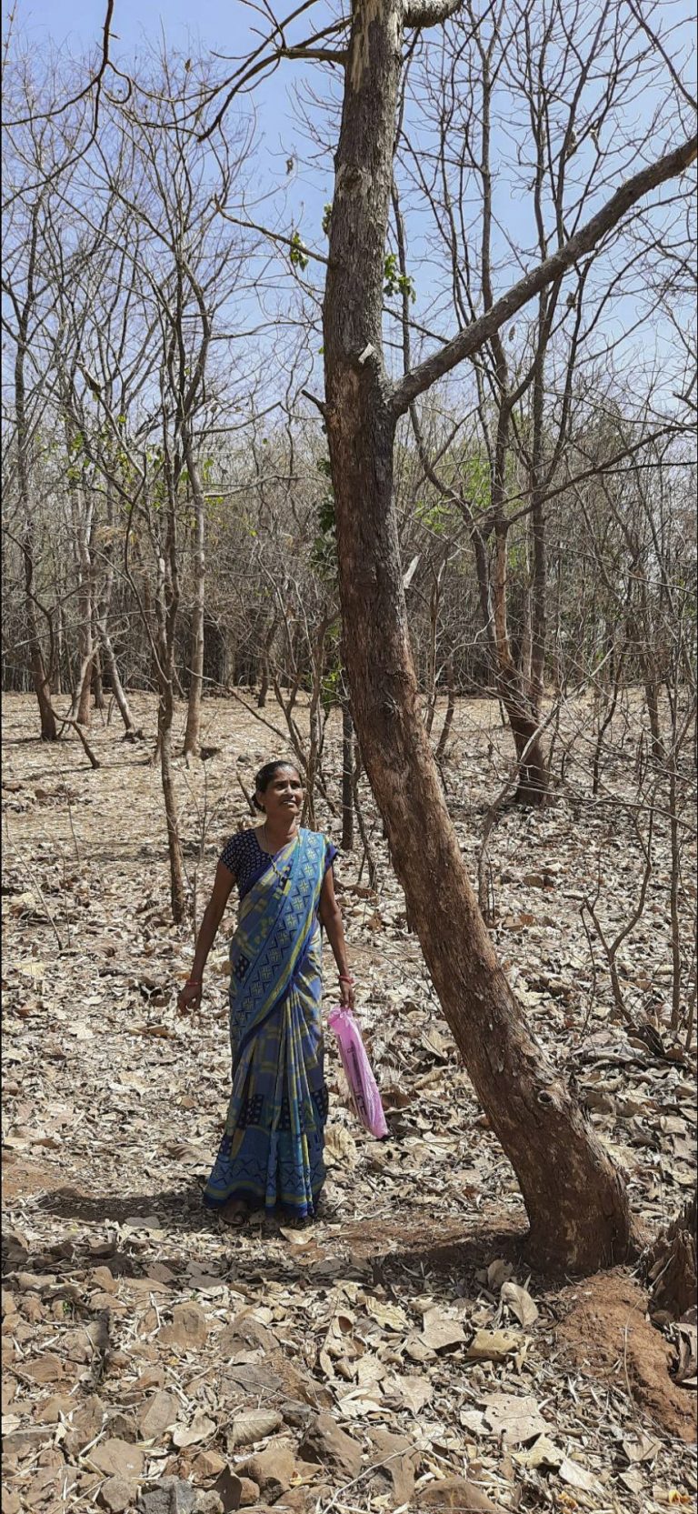 Adivasi Women Bear The Brunt Of Slow Community Forest Rights Approvals In  Gujarat - BehanBox