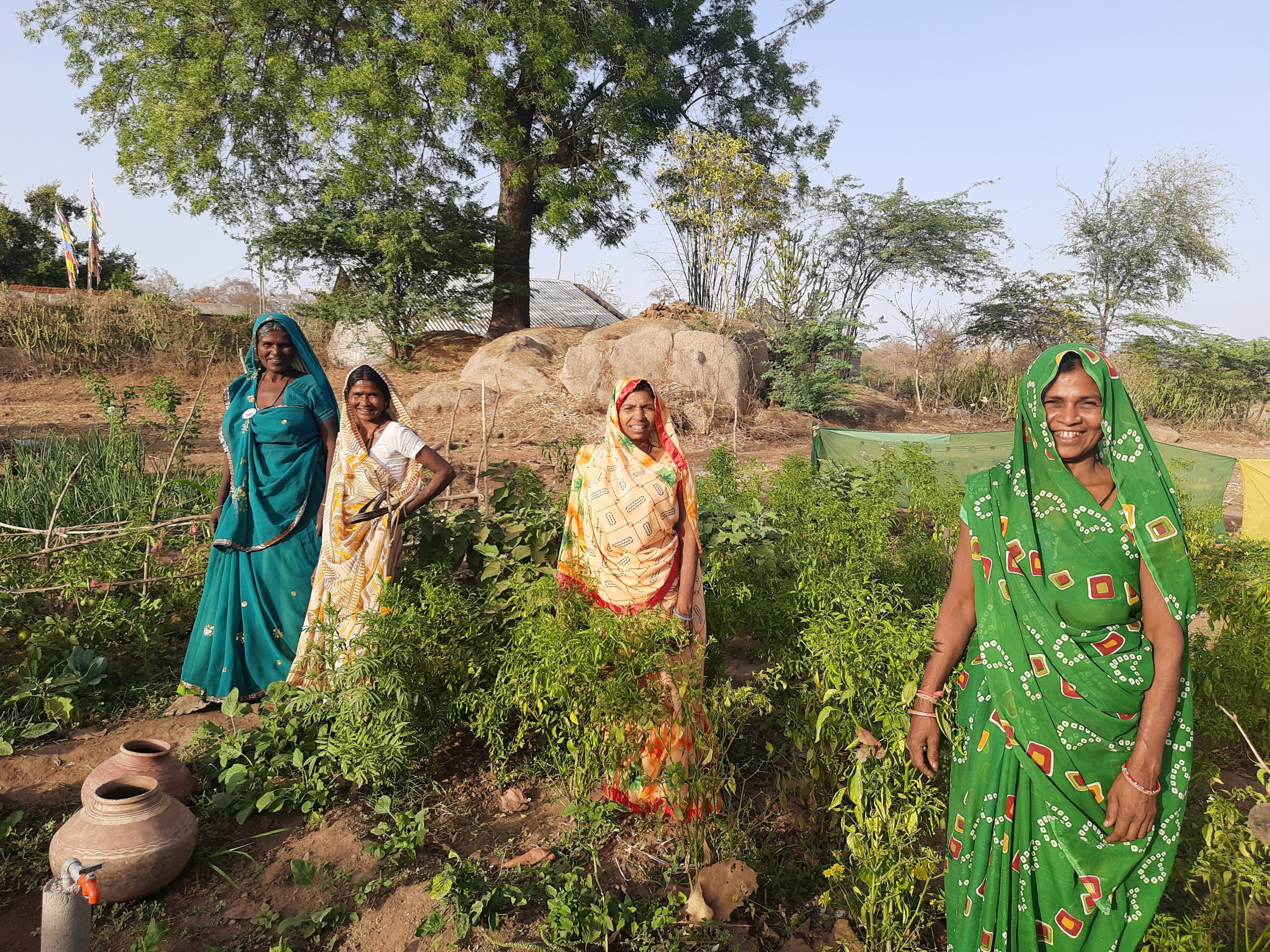 We Are Harassed, Beaten Adivasi Women Who Demand Forest Land Rights In Gujarat picture