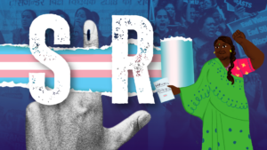 SIR queer trans voters