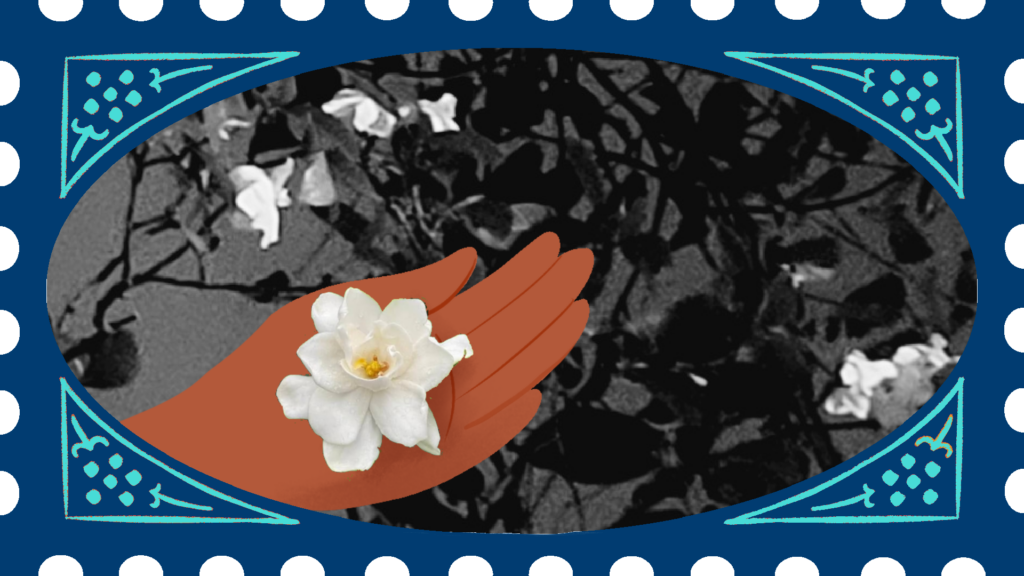 Malini postcard behanbox